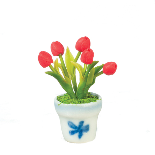 Red Tulip in Pot